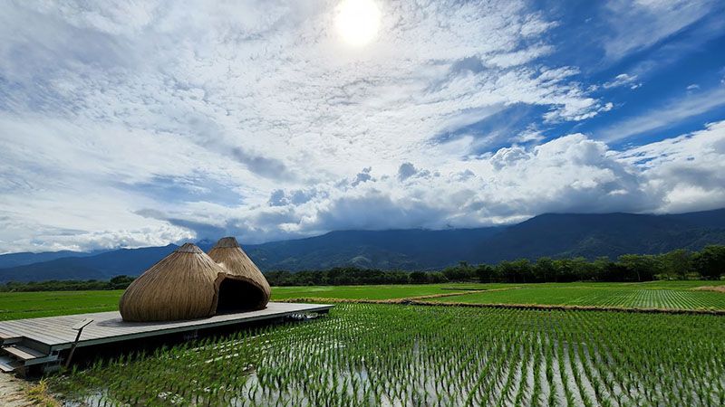 【縱谷大地藝術節 漂鳥197】台東 · 花東縱谷 · 池上 · 關山 · 鹿野