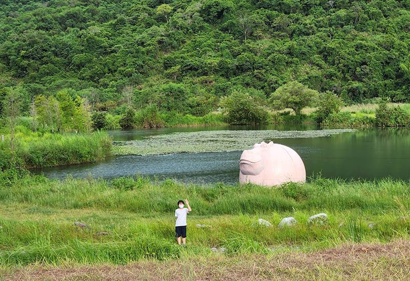 【縱谷大地藝術節 漂鳥197】台東 · 花東縱谷 · 池上 · 關山 · 鹿野